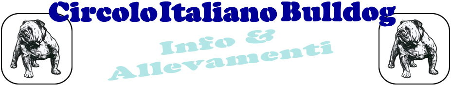 allevamenti cucciolate vendita bulldog cuccioli informazioni cerco bulldogs compro vendo bulldogs informazioni