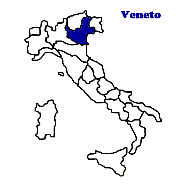 veneto bulldog bulldogs allevamenti cucciolate vendita bulldog cuccioli informazioni cerco bulldogs compro vendo bulldogs informazioni 